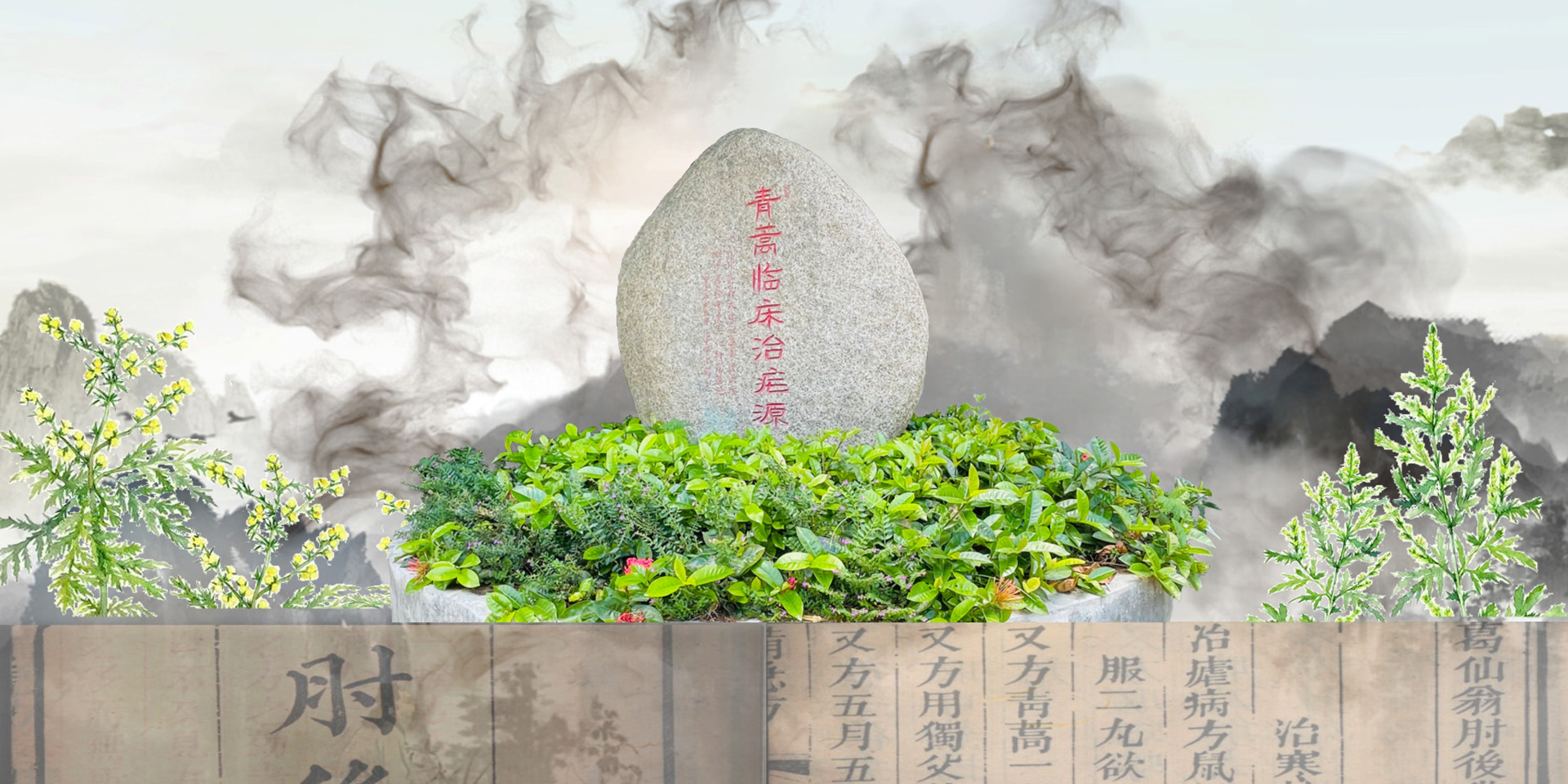 青蒿